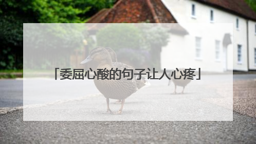 委屈心酸的句子让人心疼