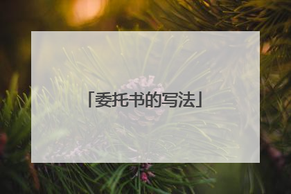 委托书的写法