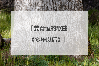 姜育恒的歌曲《多年以后》