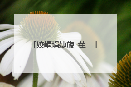 姣嶇埍婕旇�茬��