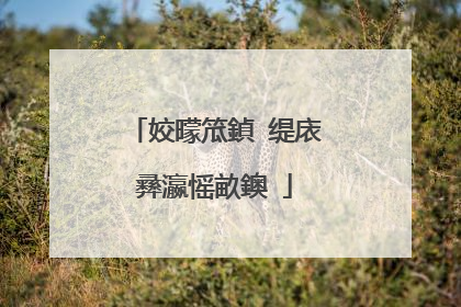 姣曚笟鍞�缇庡彞瀛愮畝鐭�