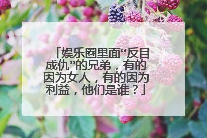 娱乐圈里面“反目成仇”的兄弟,有的因为女人,有的因为利益,他们是谁?