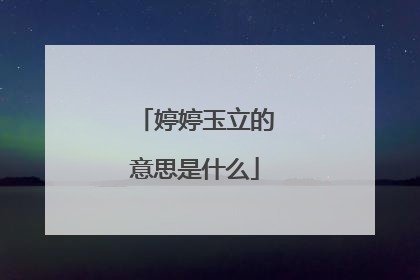 婷婷玉立的意思是什么