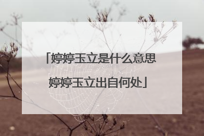 婷婷玉立是什么意思 婷婷玉立出自何处