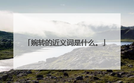 婉转的近义词是什么。