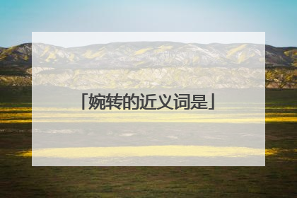 婉转的近义词是