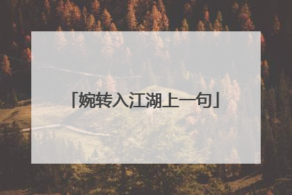 婉转入江湖上一句