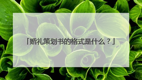 婚礼策划书的格式是什么？