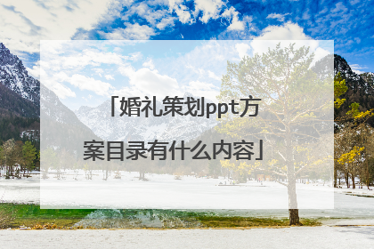 婚礼策划ppt方案目录有什么内容