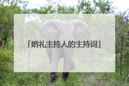 婚礼主持人的主持词