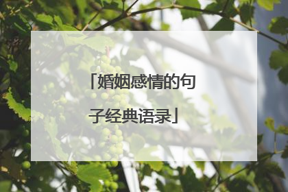 婚姻感情的句子经典语录