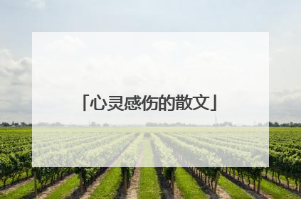 心灵感伤的散文