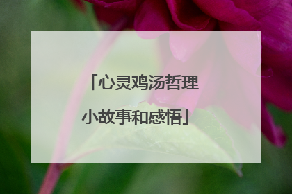心灵鸡汤哲理小故事和感悟