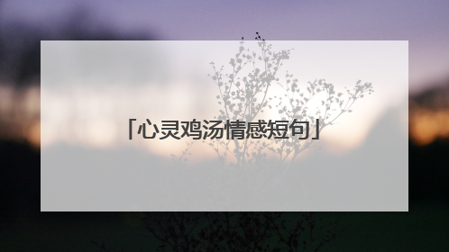 心灵鸡汤情感短句