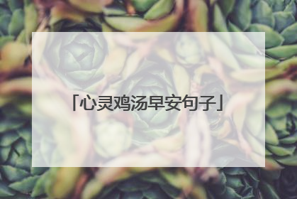 心灵鸡汤早安句子