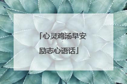 心灵鸡汤早安励志心语话