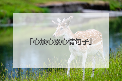 心烦心累心情句子