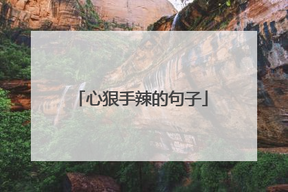 心狠手辣的句子