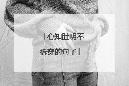 心知肚明不拆穿的句子
