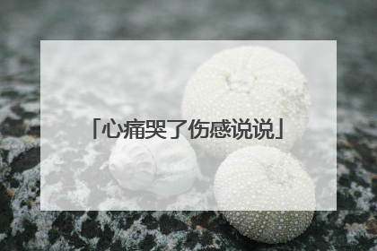 心痛哭了伤感说说