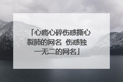 心痛心碎伤感撕心裂肺的网名 伤感独一无二的网名
