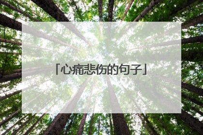 心痛悲伤的句子