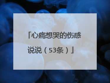 心痛想哭的伤感说说（53条）