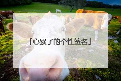 心累了的个性签名