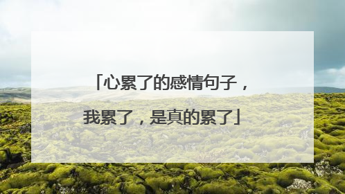心累了的感情句子,我累了,是真的累了