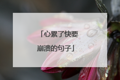 心累了快要崩溃的句子