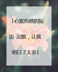 心累伤感的短语 沉默,让我明白了太多