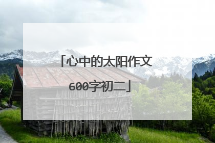 心中的太阳作文600字初二