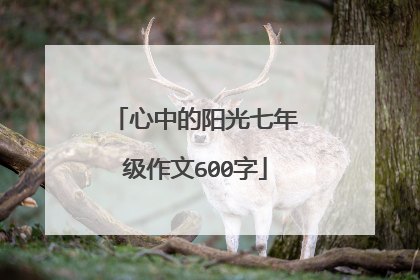 心中的阳光七年级作文600字