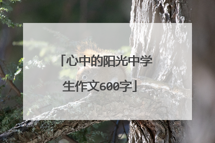 心中的阳光中学生作文600字