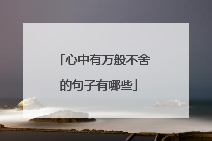 心中有万般不舍的句子有哪些