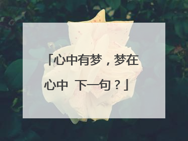 心中有梦,梦在心中 下一句?