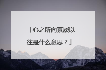 心之所向素履以往是什么意思？