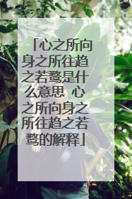 心之所向身之所往趋之若鹜是什么意思 心之所向身之所往趋之若鹜的解释