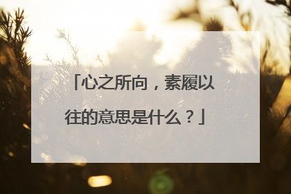 心之所向，素履以往的意思是什么？