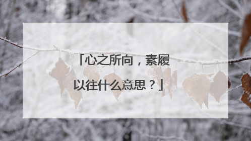 心之所向，素履以往什么意思？