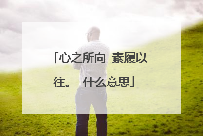 心之所向 素履以往。 什么意思