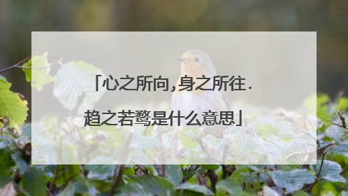 心之所向,身之所往.趋之若鹜是什么意思