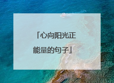 心向阳光正能量的句子