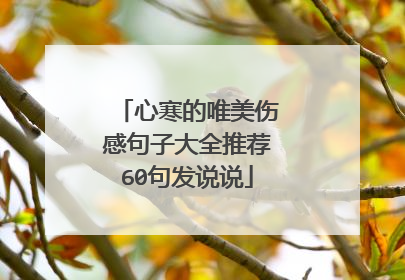 心寒的唯美伤感句子大全推荐60句发说说