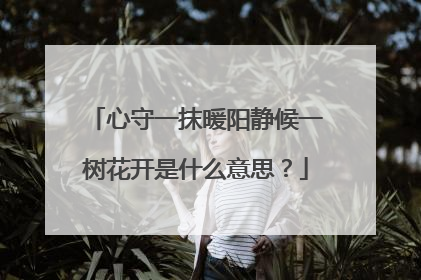 心守一抹暖阳静候一树花开是什么意思？