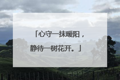 心守一抹暖阳,静待一树花开。