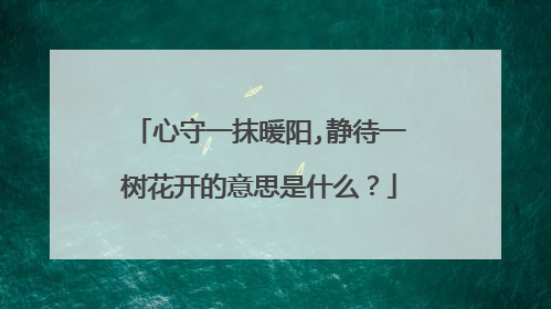 心守一抹暖阳,静待一树花开的意思是什么?