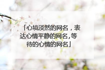 心境淡然的网名,表达心情平静的网名,等待的心情的网名