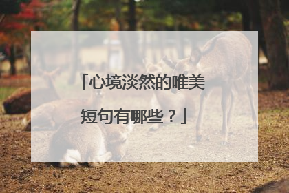 心境淡然的唯美短句有哪些?