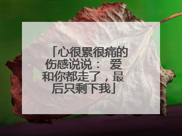 心很累很痛的伤感说说： 爱和你都走了，最后只剩下我